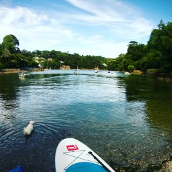 Stand Up Paddle Boarding (SUP) Bristol