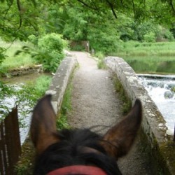 Horse Riding Georgeham, Devon