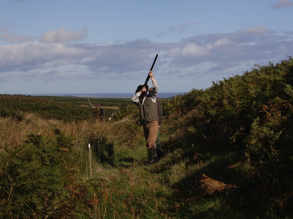 Clay Pigeon Shooting Heydon, Norfolk