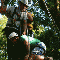 High Ropes Course Bicton, Herefordshire