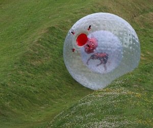 Zorbing Birthday Parties