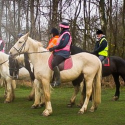 Horse Riding London, Greater London