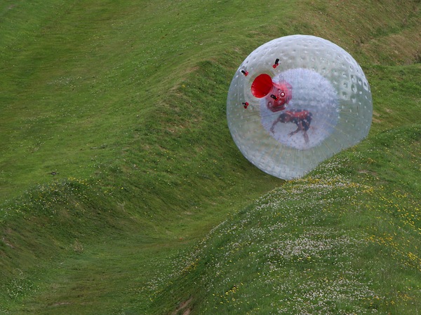 Zorbing Birthday Party